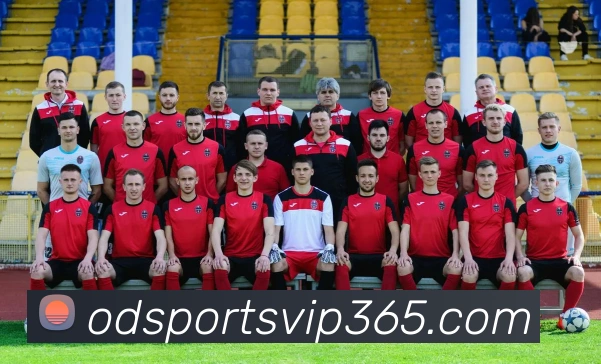 od体育平台生态图